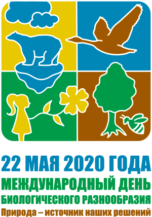 idb-2020-logo-ru-web-vertical